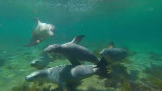 Langton Island   12th Jan '23   HD 1080p