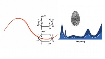 Science Behind Quantitative Infrared Spectroscopy