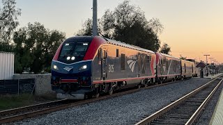 Amtrak’s ALC-42 Locomotives in Action on The Coast Starlight!