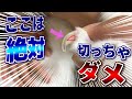 猫のツメの切り方を解説【音声解説】