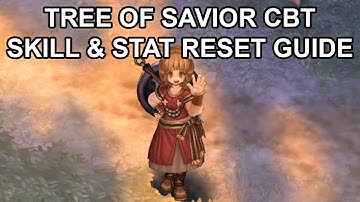 Tree of Savior Online Skill and Stat Reset Guide Tutorial