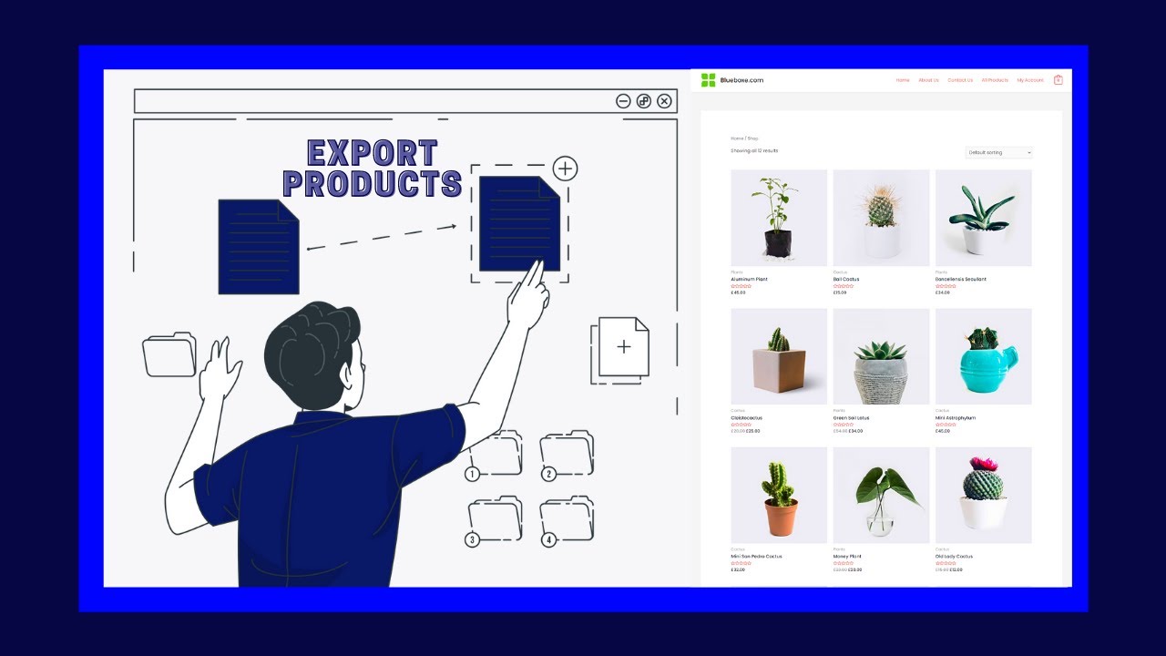 How To Export & Import Woocommerce Products - YouTube