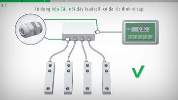 3. Cảm biến tải kết nôi song song, 4 hoặc 6 dây cáp khoảng cách từ cáp nguồn