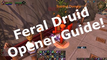 5.4.7 PvP Feral Druid PvP Opener Guide World of Warcraft MoP