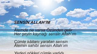 245 - Sensi̇n Allah’im - Gönülden Damlalar
