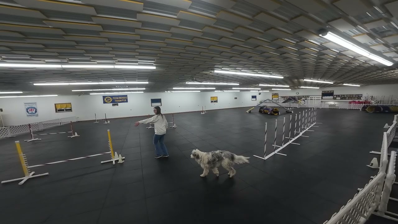 Nova (Adept) - February 3026