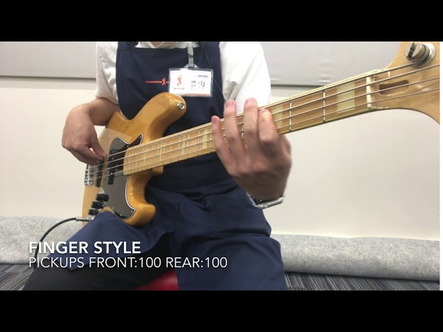 Fujigen NJB101 サンプル