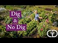 Remarkable differences in growth from same inputs