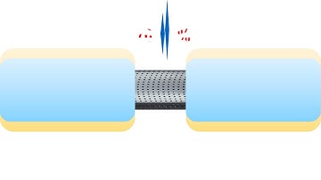 Node of Ranvier, the Anatomy