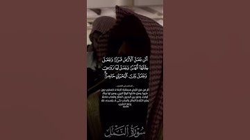 تلاوه من سورة النمل القارئ محمد اللحيدان