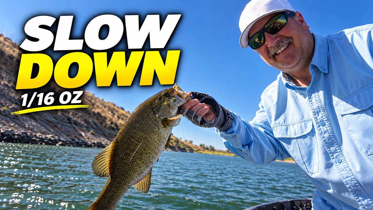 How to Catch Fall Bass When the Bite Gets Tough