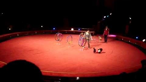 Rạp xiếc Trung Ương 2013