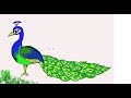 Easy Kids Drawing Lessons : How to Draw a Peacock