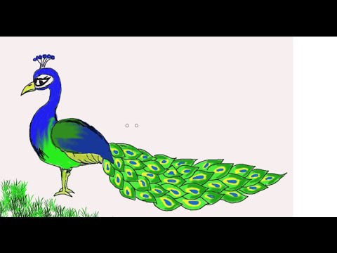 Easy Kids Drawing Lessons : How to Draw a Peacock - YouTube