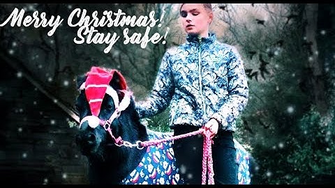 Stay Safe This Christmas - Victorine & Jim Rensson, Deborah de Graaf & Tessa van Merle and Thorvald