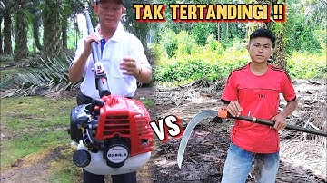 Perbedaan Panen Sawit Pakai Egrek Mesin VS Egrek Biasa