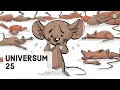 Das universum 25 maus experiment