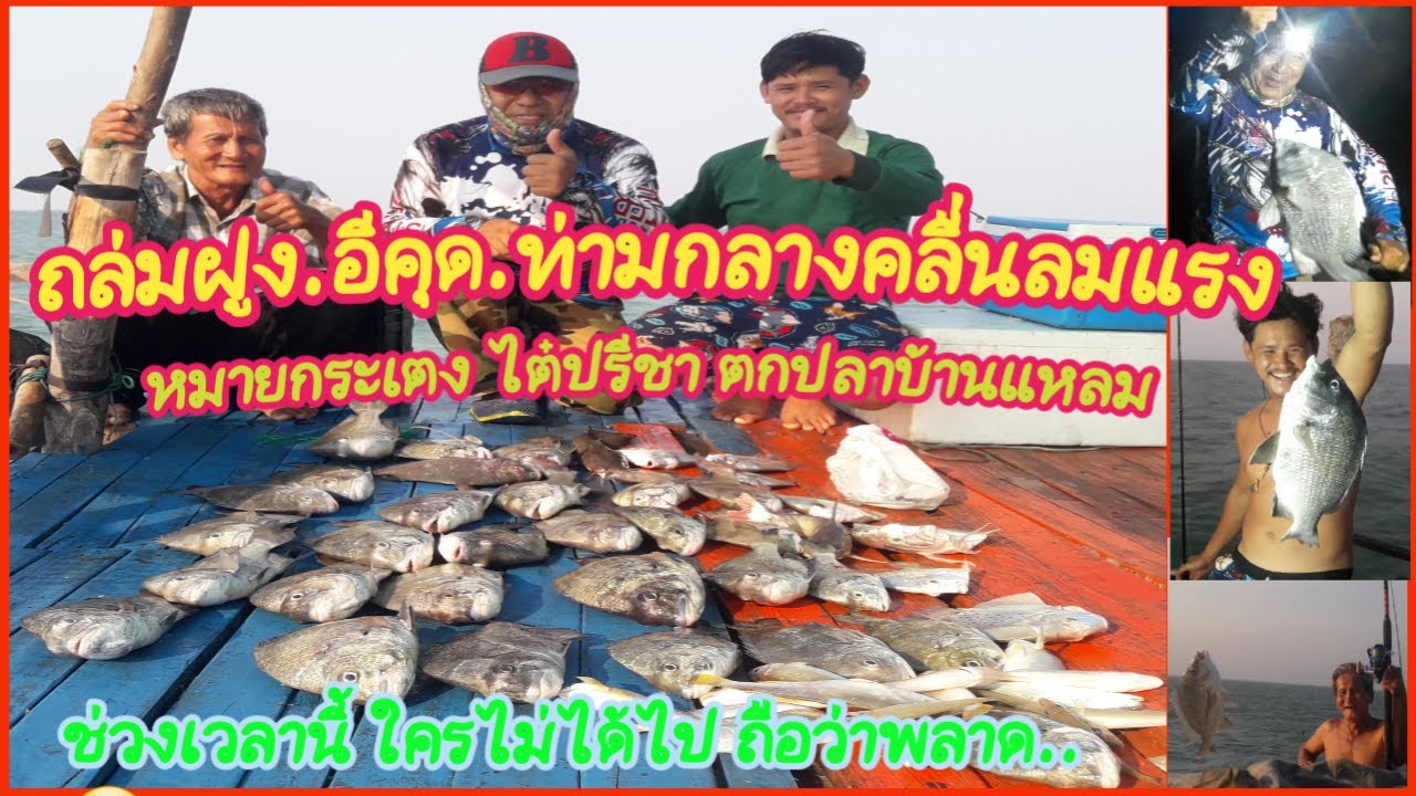 ตกปลาอีคุดที่กระเตงไต๋ปรีชา ตกปลาบ้านแหลม กับ3D FISHING: EP43