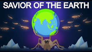 Wolfspider
