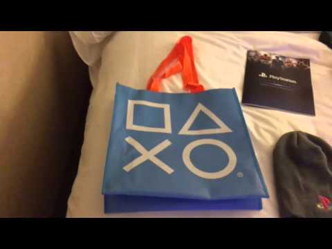 Playstation Experience 2015 Day 1