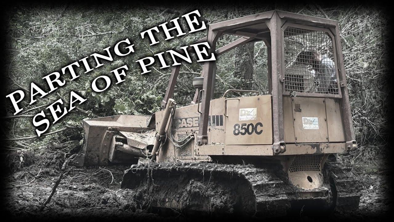 Parting the Sea of Pine - Road Expansions on the Red River & Gulf