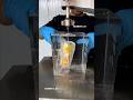 Cutting Open Ice Block… and It 😳🧊 #oddlysatisfying #experiment #ice #energydrink #viral #freeze
