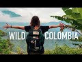 Una nuova avventura  wild colombia  