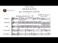 Josef Suk - Serenade for Strings Op. 6 (1892)