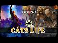 LIFE GAIN CATS | MTG Arena Mono White 70% WINS Lifegain Token Cat TMNT Standard Deck