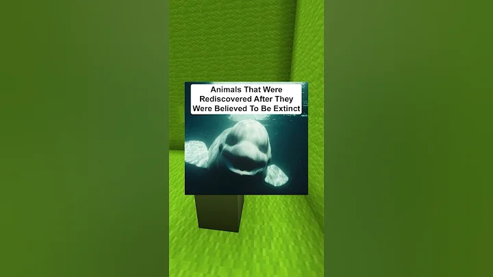 Animals That Were Rediscovered After They Went Extinct thumbnail