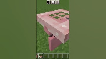 chair rate 1/10 #viral #minecraftshorts #succes #subscribe #like #pvp #subscribetomychannel #mrbeast