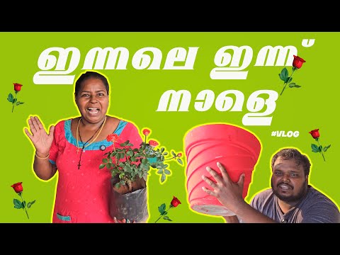 കണക്കില്ലാതെ ചെടികൾ വാങ്ങിച്ച ദിവസം | technosmom | vlog
