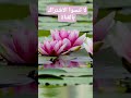 يارب كرمك علينا Subscribe Shortsvideo Like اسلاميات يارب كرمك علينا Subscribe Shortsvideo Like اسلاميات