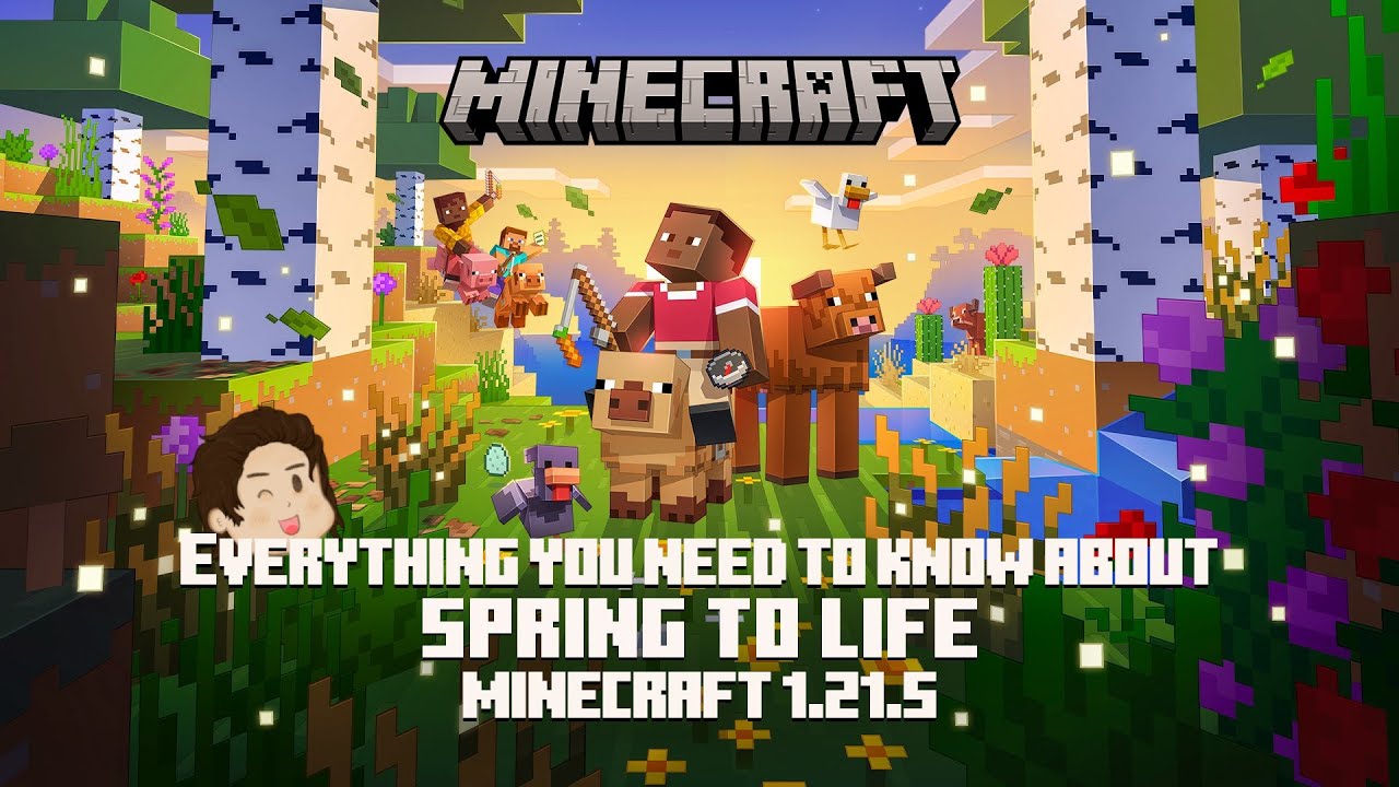 Everything You Need To Know About The 