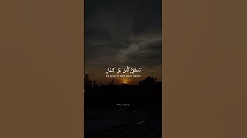 سعد الغامدي من سورة الزمر ♥️