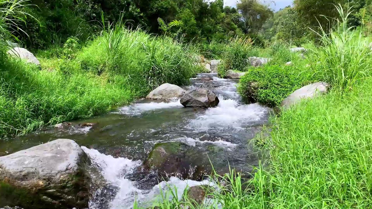 Tranquil River Flow – 10 Hours of Water ASMR  - Stress, Anxiety Relief & Meditation Sounds