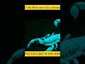 Chheh din Bina sans liye rahana #shorts #facts #viral #viralshorts
