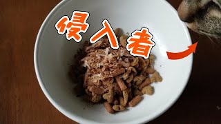 カツオ節煮干しは特に注意が必要