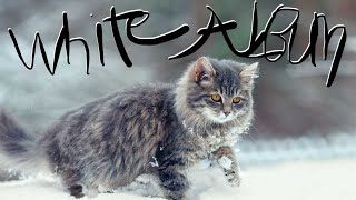 White Album 100% Beaten In Less Than 1 Hour Youngest Victor