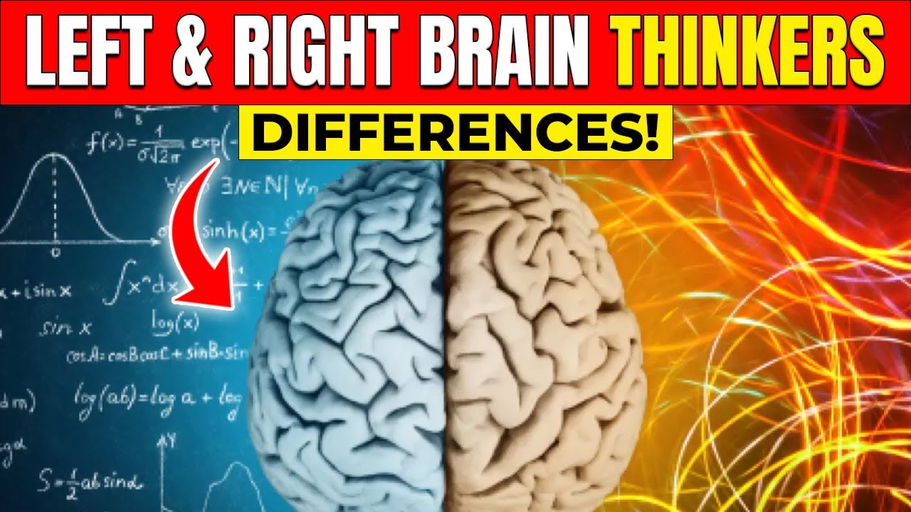 25 Surprising Differences Between Left Brain & Right Brain Thinkers 🧠 ...