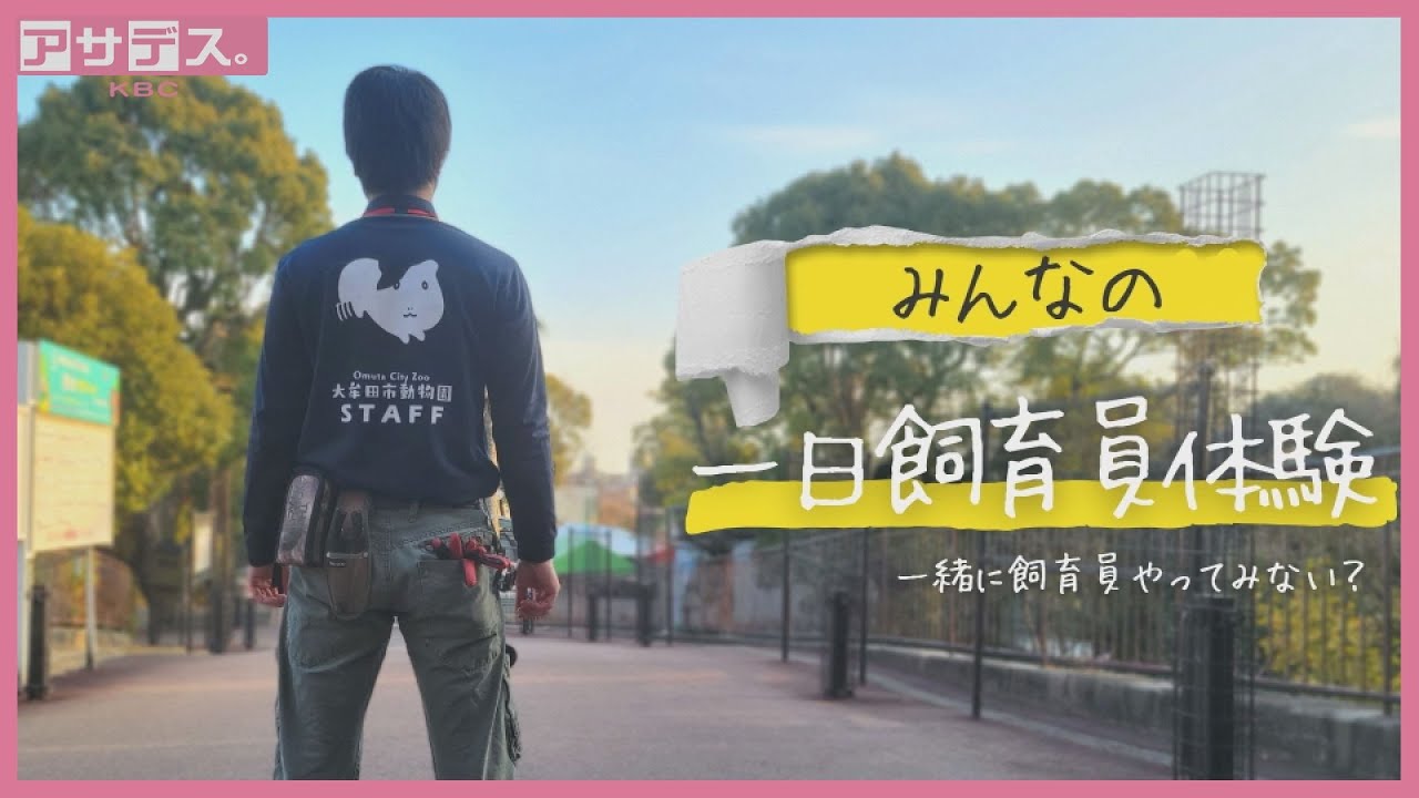 【ガマダセ動物園】はらけんが飼育員体験に挑戦！【アサデス。】