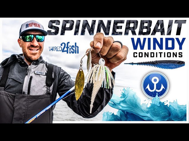 Jacob Wheeler's Guide to Spinnerbait Fishing in the Wind 