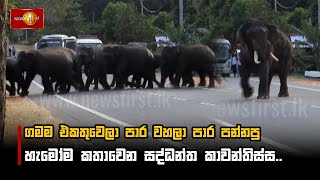 Download Lagu ගමම එකතුවෙලා පාර වහලා පාර පන්නපු මේ දවස් වල හැමෝම කතාවෙන සද්ධන්ත කාවන්තිස්ස.. MP3 Download Lagu ගමම එකතුවෙලා පාර වහලා පාර පන්නපු මේ දවස් වල හැමෝම කතාවෙන සද්ධන්ත කාවන්තිස්ස.. MP3