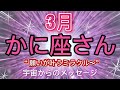 かに座⭐️3月⭐️“  宇宙からのギフトを見逃さない為に、今にフォーカス〜”⭐️宇宙からのメッセージ ⭐️シリアン・スターシード・タロット⭐️Cancer ♋️