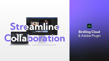 Streamline Collaboration: Adobe Premiere with BirdDog Cloud