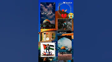 الحق صوته اعلى من صوت السلاح فلسطين فلسطين 