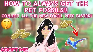 HOW TO MINE PET FOSSILS 10X FASTER!!🦖😱🤩 | New Fossil Isle Excavation Event In 2024!!😯😁 #adoptme