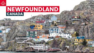 Canada Road Trip: Best Things To Do In Newfoundland