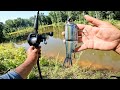 Peces Grandes En Medio Del Bosque Con Señuelos Grandes