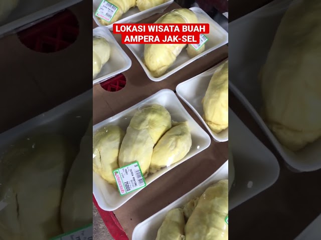 Durian montong palu kupasan,Wisata buah ampera jak-sel class=